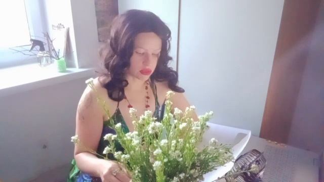 Ико́тник се́рый от лат. Bertéroa incána Семейства Капустные #brassicaceae #botánica #Ико́тник се́ры смотреть онлайн