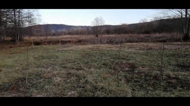 Иду копать земляную грушу (ТОПИНАМБУР) смотреть онлайн