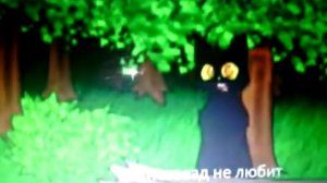 Огнезвёзд не любит вафли!?