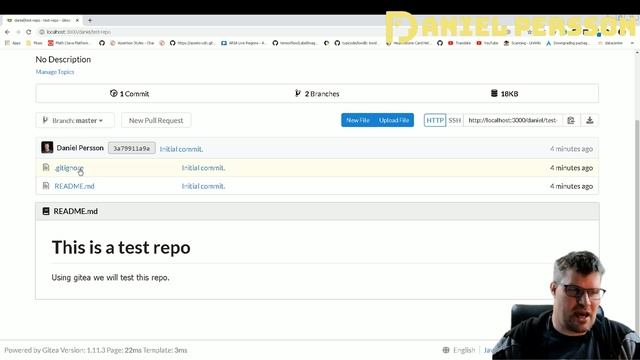 Looking at Gitea as a Git host solution