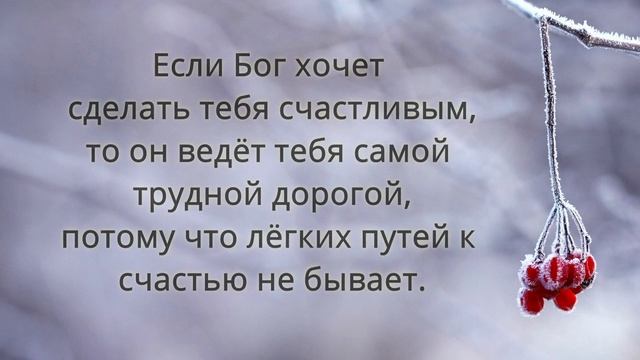 Цените то что имеете, цитаты.Радуйтесь тому что есть.афоризмы.