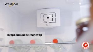 Встраиваемый комби-холодильник Whirlpool ART 963/A+/NF