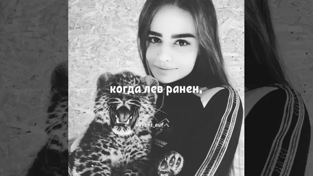 Царь ЗВЕРЕЙ 《ОФИГЕННЫЕ ПЕСНИ ТУТ》 смотреть онлайн