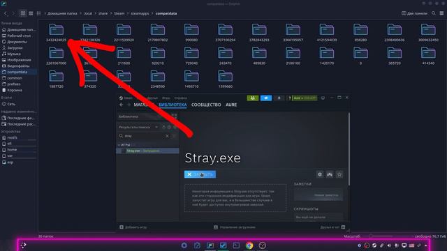Steam Deck: Я устанавливаю пиратки через Steam