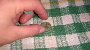 Спасибо подписчику!!! Нашли на огороде)))