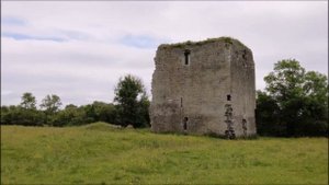 Ирландия / Замки / Средневековые руины / Бирмингемские замки