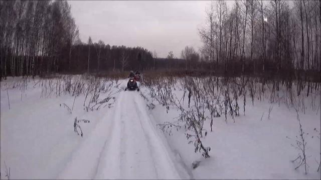 Прокат снегоходов Ирбис СФ150  и Стелс Капитан в г. Киржач