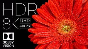 Идеальный черный - 4K HDR 60FPS Dolby Vision