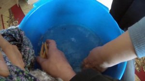 2. Заболел петух