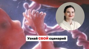 Узнай свой сценарий жизни: практика