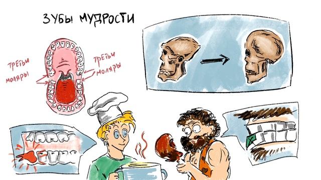 Рудименты и Атавизмы смотреть онлайн