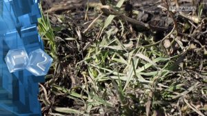 Погода на предстоящую неделю.mp4