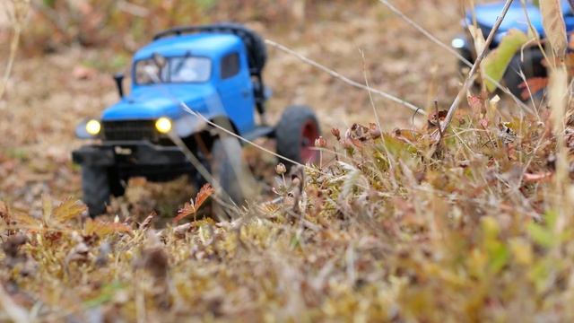 FMS FCX24 1/24TH Power Wagon RTR & Axial Bronco SCX24 RTR RC Crawler Trucks смотреть онлайн