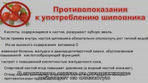 Корень хрена — полезные свойства и противопоказания