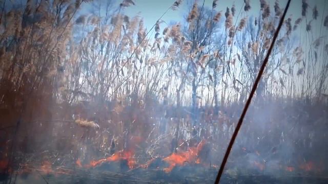 Владимир Асмолов Пророки смотреть онлайн