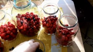 Компот из БОЯРЫШНИКА. Чрезвычайно ВКУСНЫЙ и Простой РЕЦЕПТ компота.