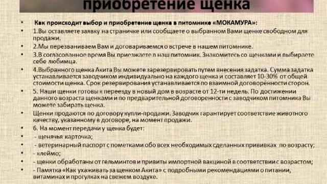 щенки акита смотреть онлайн