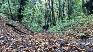 Первое знакомство с окрестностями хутора Ильич