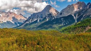 Звуки природы, Звуки живого летнего леса | Sounds of nature, Sounds of a living summer forest