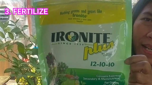 HOW TO GROW CITRUS TREES WITH MASSIVE GROWTH / Growing Citrus 3 Rules / Bonus: Growing Citrus Indoo смотреть онлайн