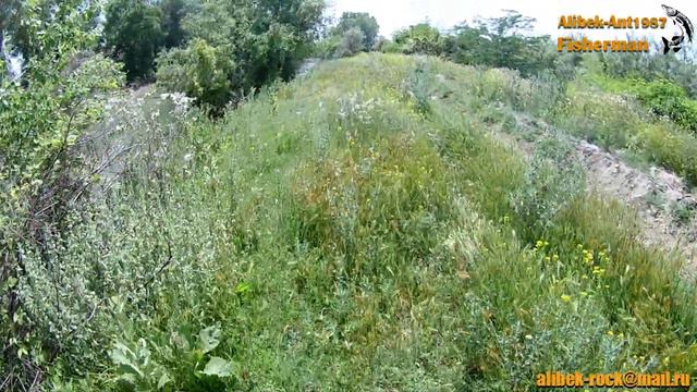 Окуни монстры или как достать приманку с дерева. смотреть онлайн