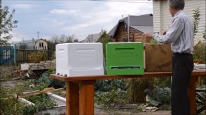 Как подготовить пчёл к зиме?