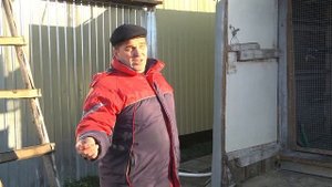 Голуби и Голубятники Ульяновской области!