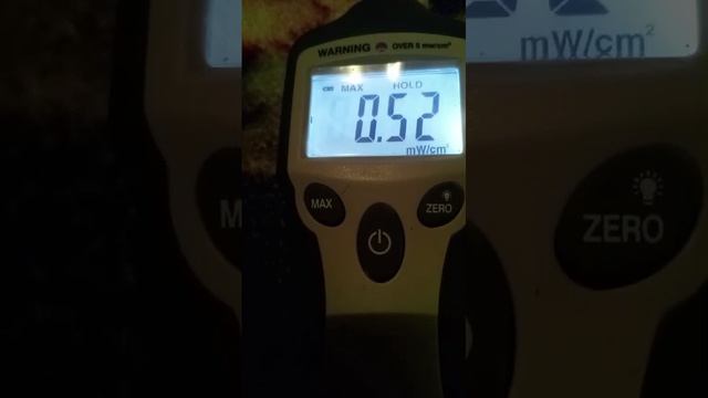 VID-20240316-WA0009 смотреть онлайн