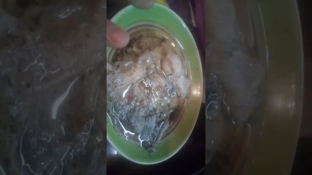 Как правильно сажать фиалки смотреть онлайн