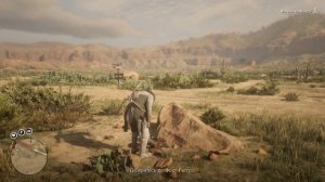 RDR 2 где найти Стервятника, Самая большая рыба, Приманка RDO