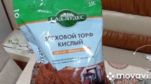 Комнатные растения/цветы. Большая осенняя пересадка комнатных цветов.