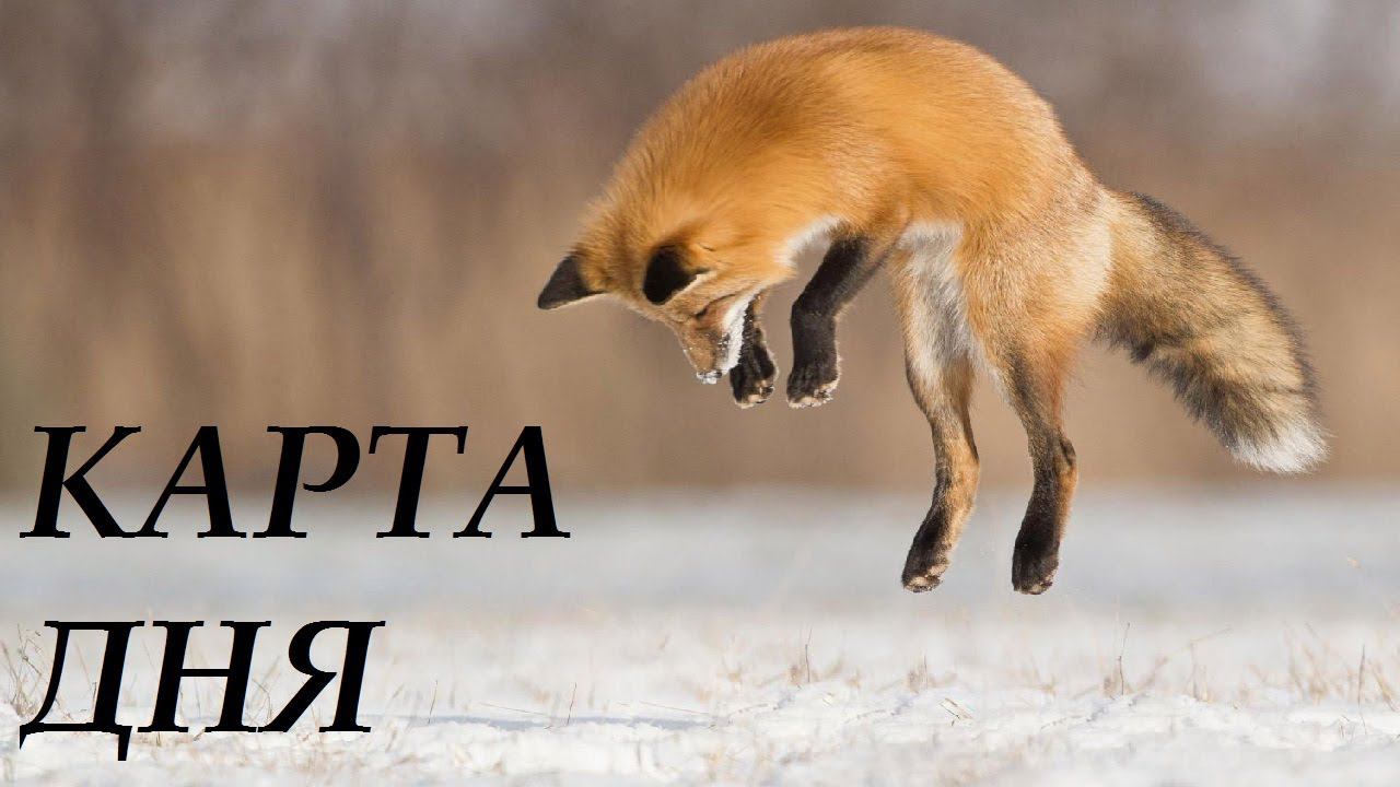 17 ФЕВРАЛЯ ГОРОСКОП КАРТА ДНЯ ДЛЯ ВСЕХ ЗНАКОВ ЗОДИАКА