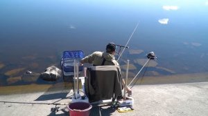 Рыбалка на фидер. Дядя Фёдор ловит днепровскую чехонь!