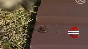 Забор на даче