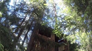 Домик на ДЕРЕВЕ своими руками / Построил СТЕНКУ с ОКНОМ / 12 Часть