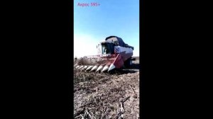Уборка подсолнечника Акрос 595 плюс