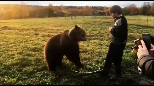 Медвежонок Вася. Bear Vasya (Школа Дом Волка. The School House Of The Wolf)