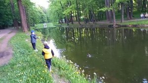 Будни в городе... К