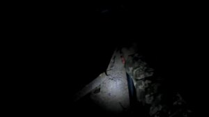 Ловля судака ночью на живца