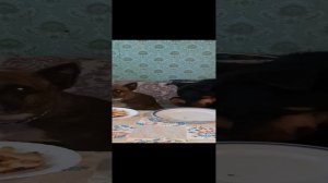 День рождения у Мэни