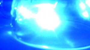 Казнь комара лазером (Mosquito laser execution) 2000 мВт/mW