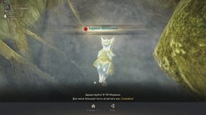 Где находятся ГМ? Грандина и Пафуакриния(ГМ Лани ГМ Дейзи ГМ Клоринс ГМ Шрея ГМ Крио)  Black Desert