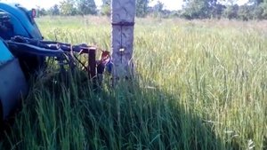 Выдергиваем столбы навеской трактора