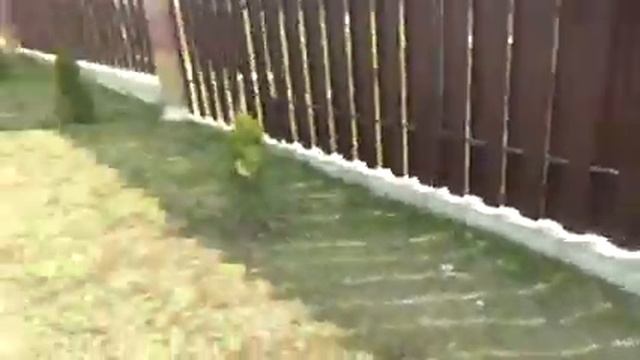 Открытие сезона 2021. Укладка тротуарной плитки... смотреть онлайн