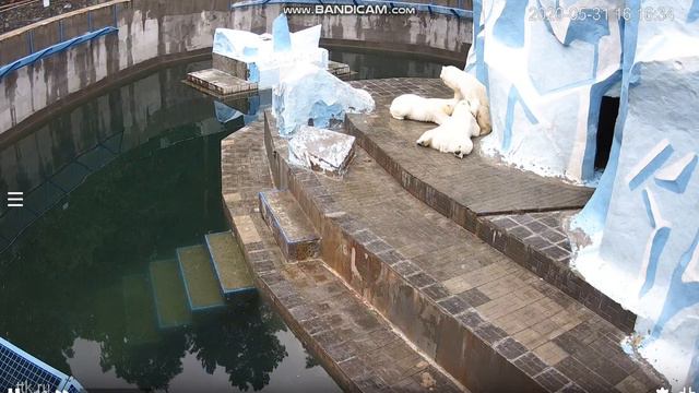 Надо вместо ужина молочком подкрепиться 31.05.2020 смотреть онлайн