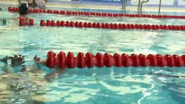 Весёлый дельфин 2019. День 3. Утро. смотреть онлайн