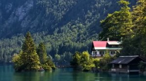 Красивые дома в лесу