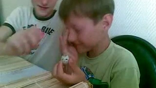 Пашка и яйцо смотреть онлайн