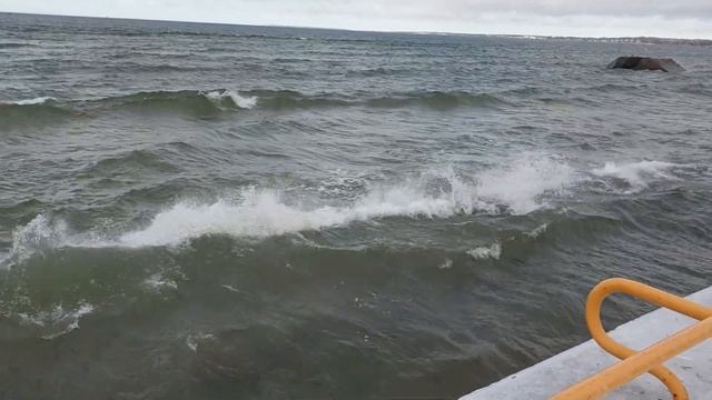 Эстония.Таллинн.Балтийское море(Финский залив) зимой.Променад вдоль моря.Гуляем в  шторм.Влог