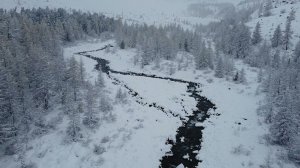 Вверх по Актуру под снегом